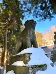 戸隠神社中社(長野県)