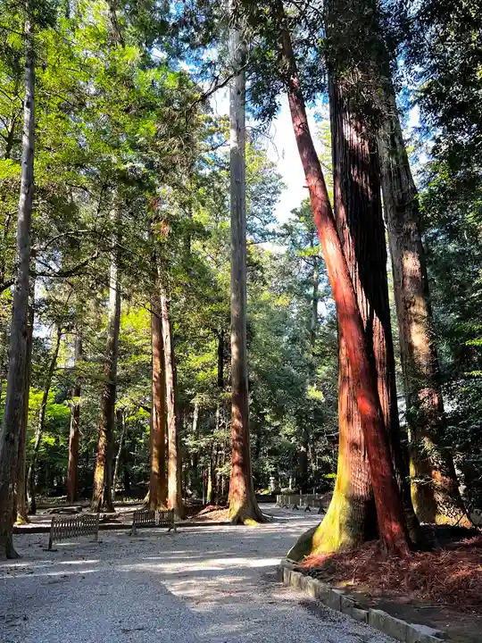 伊和神社(兵庫県)