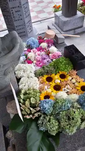 新川皇大神社の手水