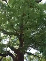 津門神社(兵庫県)