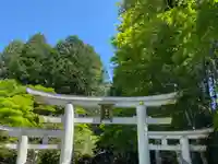 三峯神社(埼玉県)