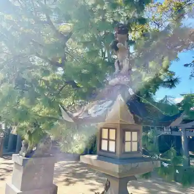 唐津神社の自然