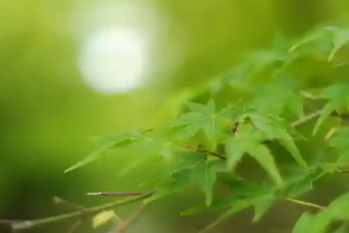興聖寺（興聖寶林禅寺）(京都府)