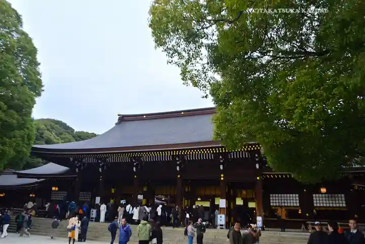 明治神宮(東京都)