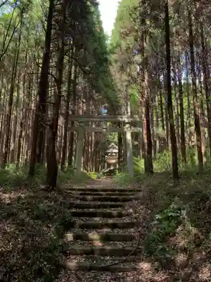 箱根神社(千葉県)