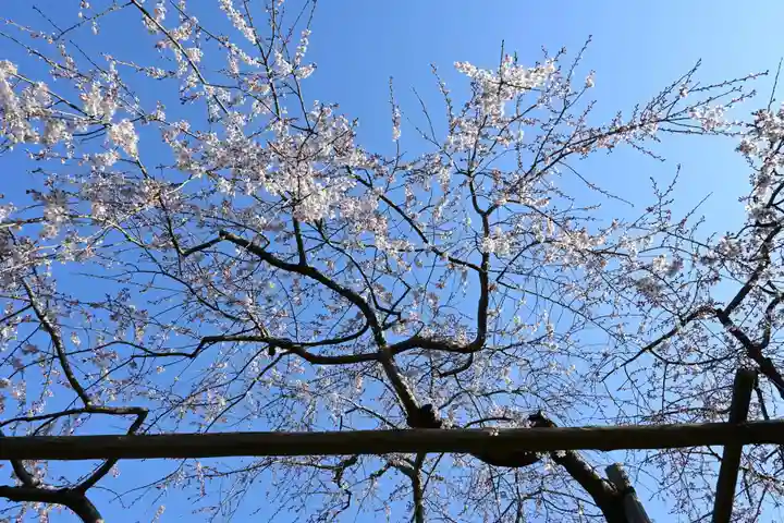 毘沙門堂門跡(京都府)