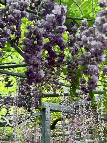 和気神社(鹿児島県)