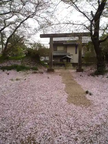 琴平大神(茨城県)