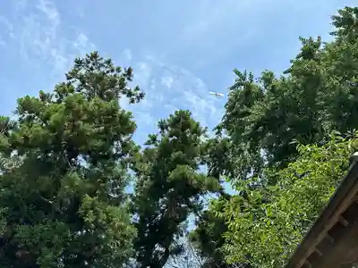 鎌数伊勢大神宮(千葉県)