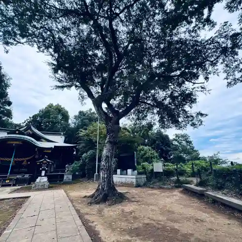城山神社(埼玉県)