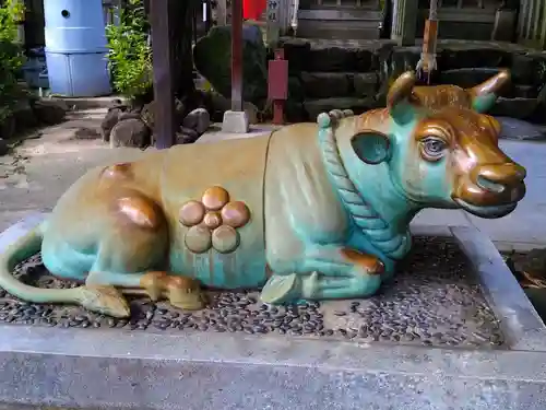 髙牟神社の狛犬