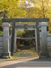 大国玉神社の鳥居