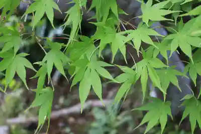 養徳院(京都府)
