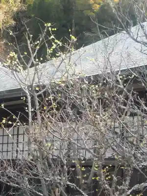 瑞泉寺のその他建物