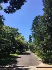 江部乙神社の建物その他