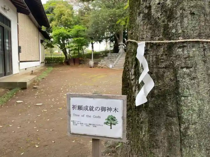 淡嶋神社のその他建物