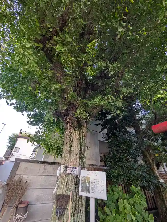 元宿堰稲荷神社(東京都)