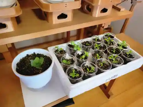 伏木香取神社(茨城県)