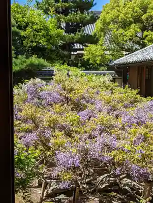 長慶院(京都府)
