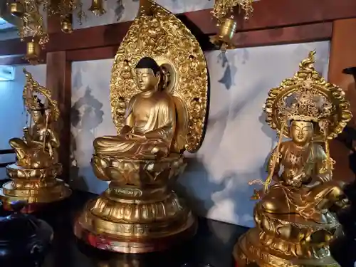 浄土宗　淨音寺の仏像