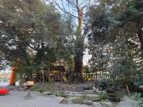 川越氷川神社の自然