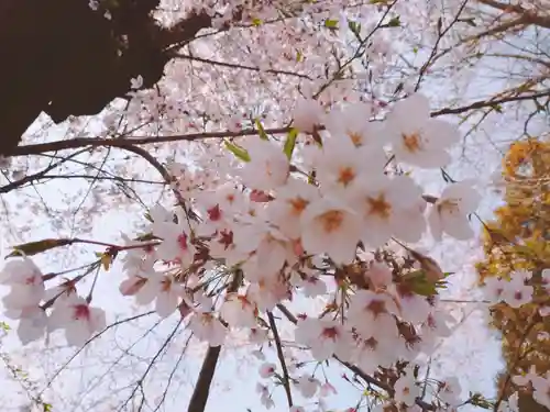 羽黒神社の自然