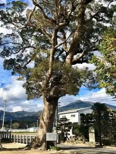 江島神社の自然