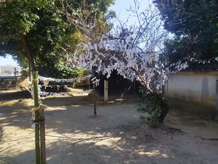 蹉跎神社(大阪府)