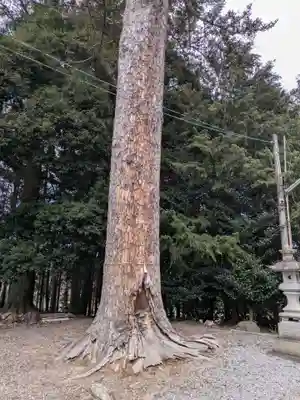 滑川神社 - 仕事と子どもの守り神(福島県)