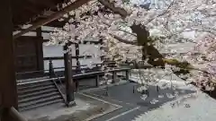 妙顯寺（妙顕寺）(京都府)