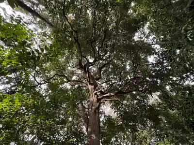 進雄神社(群馬県)