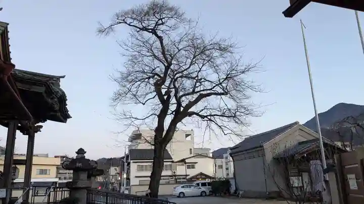 秩父札所十三番 慈眼寺の自然