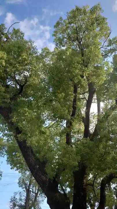 長瀨神社の自然