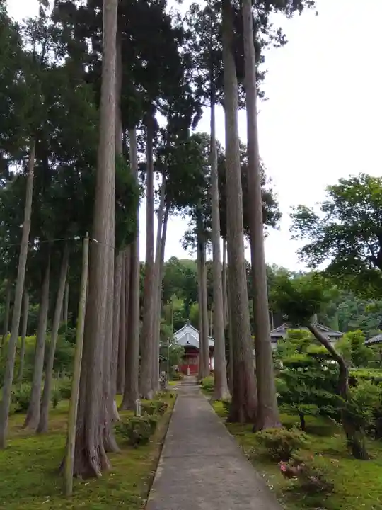 霊泉寺(福井県)