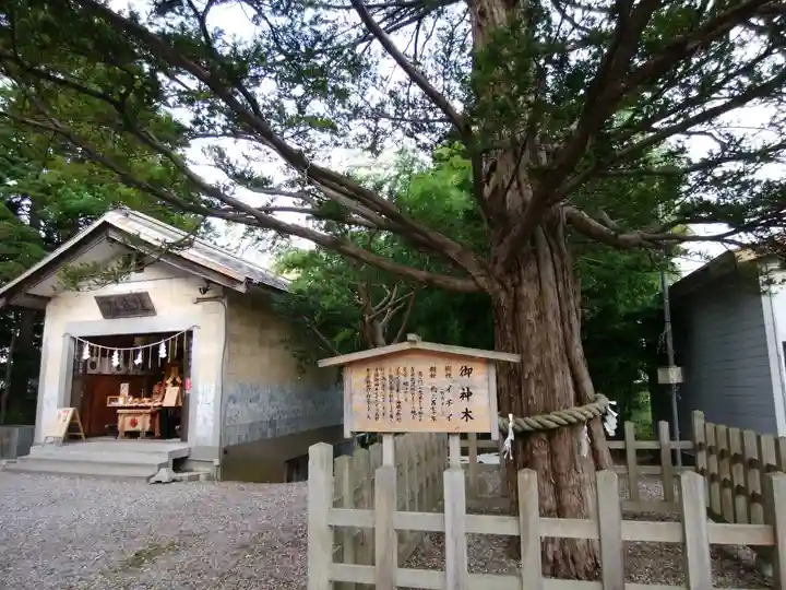 湯倉神社のその他建物