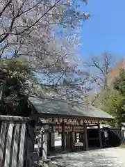 櫻木神社(千葉県)