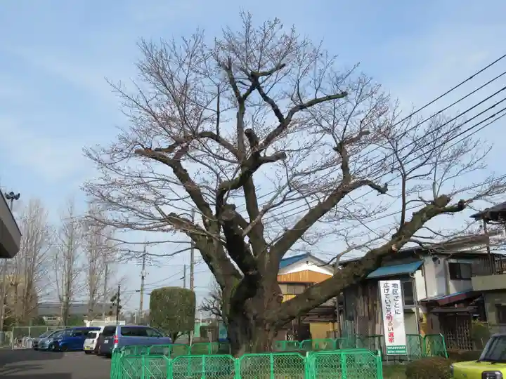 霞川神社(東京都)