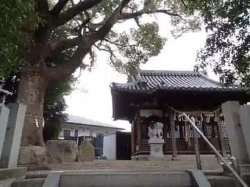 常世岐姫神社の本殿・本堂