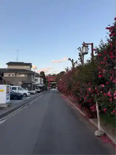 梅宮大社(京都府)