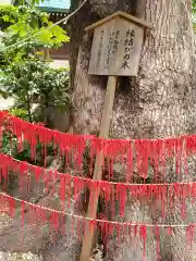 三輪神社の授与品その他