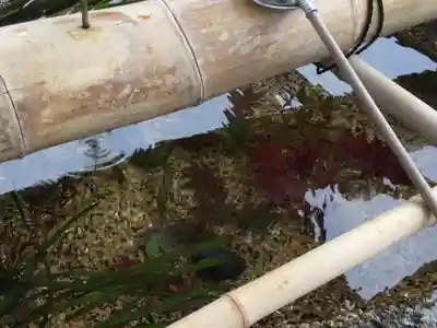 伊豆神社(滋賀県)