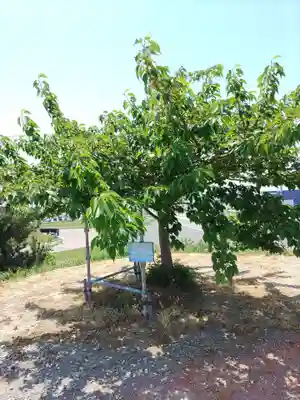 富主姫神社(宮城県)