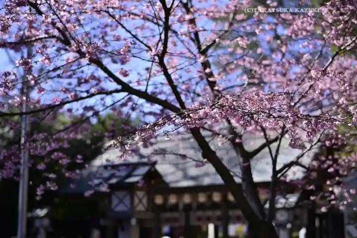 櫻木神社(千葉県)