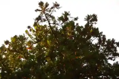 雄山神社前立社壇(富山県)