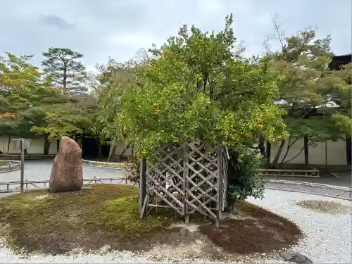 二尊院(京都府)