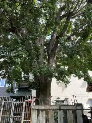 天王坊稲荷神社(岐阜県)