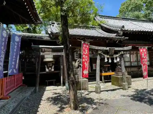 高知八幡宮(高知県)