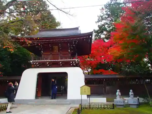 大正寺の山門