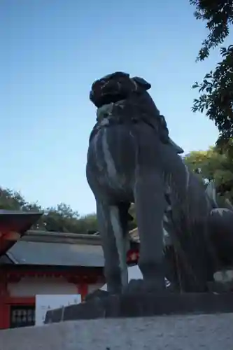 金神社の狛犬