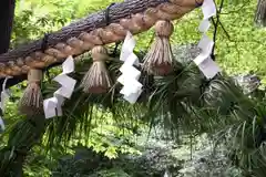 野宮神社の建物その他